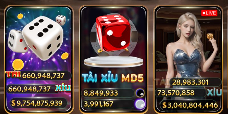 Thông tin xoay quanh tài xỉu md5