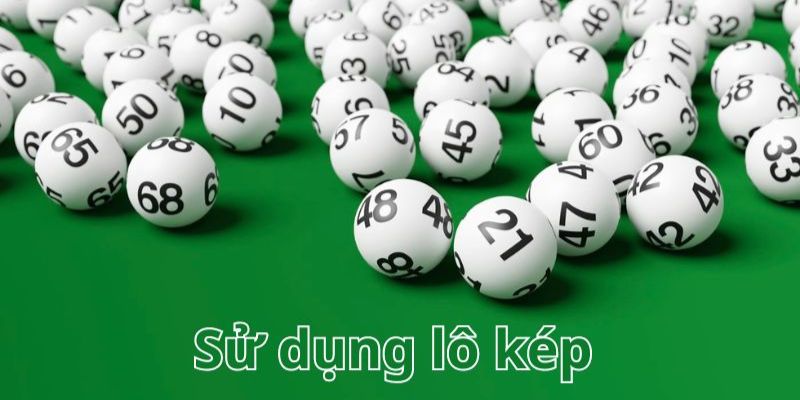 Phương pháp bắt cầu dựa vào lô kép