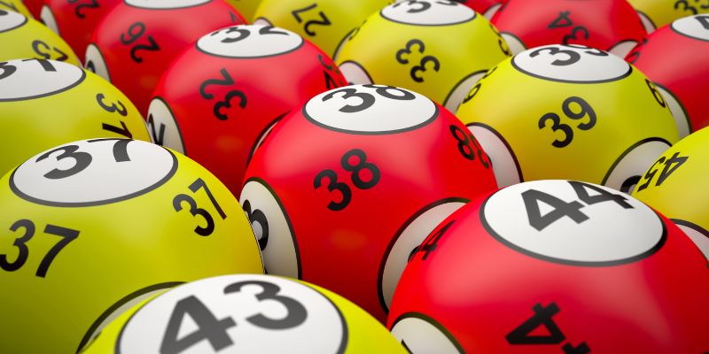 Các nhà phát hành tại xổ số Vicclub